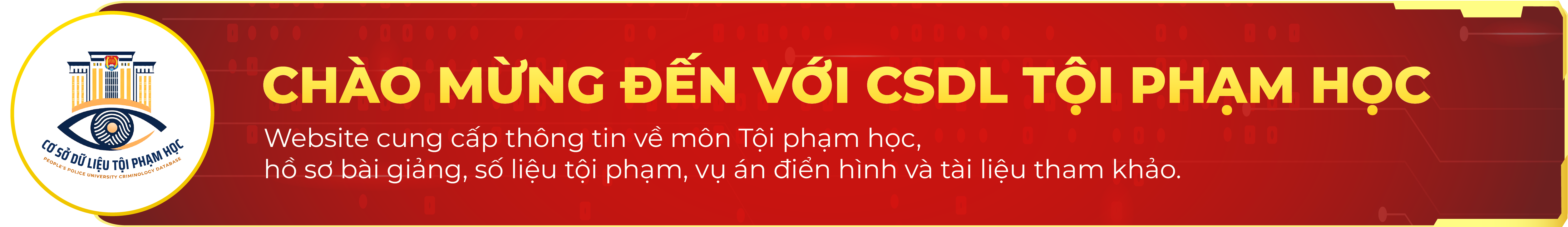 CSDL Tội phạm học