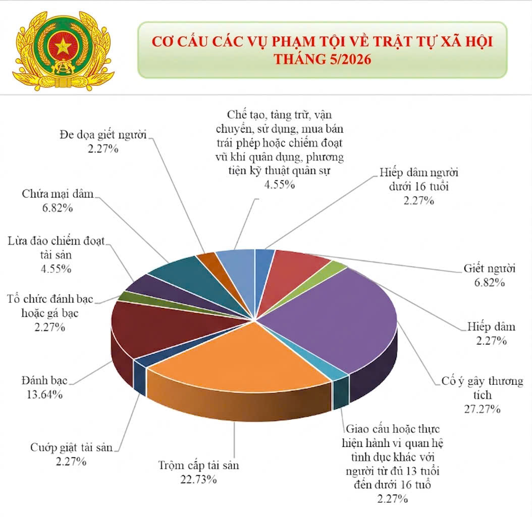 Biểu đồ vùng